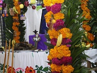 IMG (2)